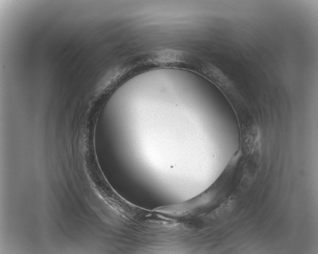 X0000062130732200512121215