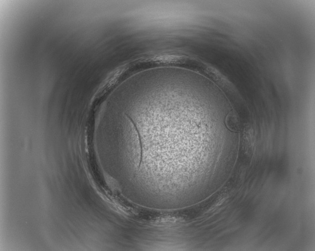 X0000062130734200512121215