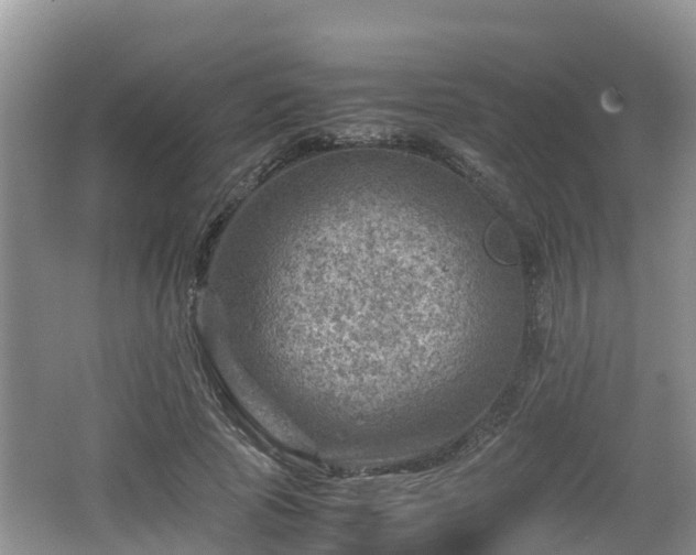 X0000062130737200512121215