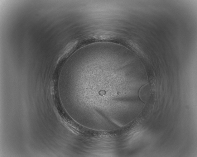 X0000062130738200512121215