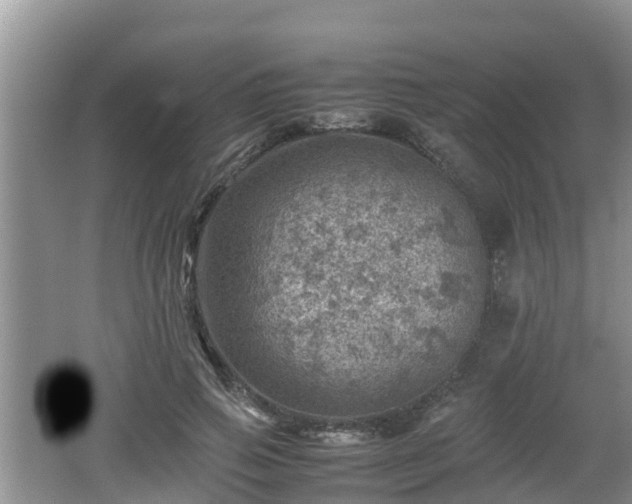 X0000062130741200512121215