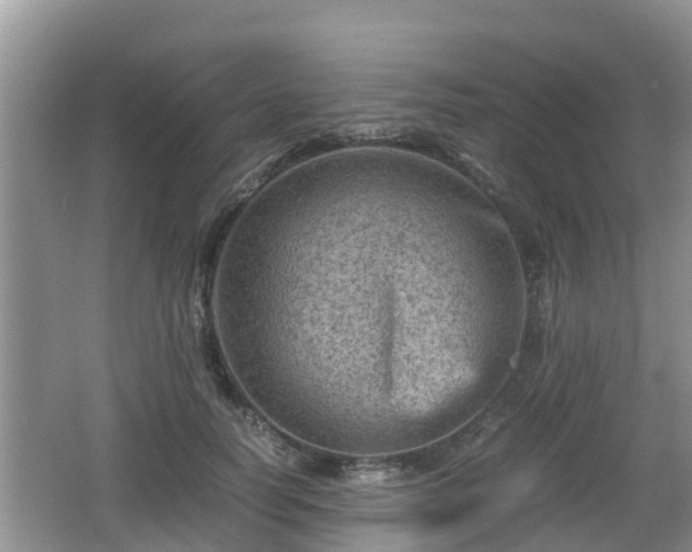 X0000062130746200512121215