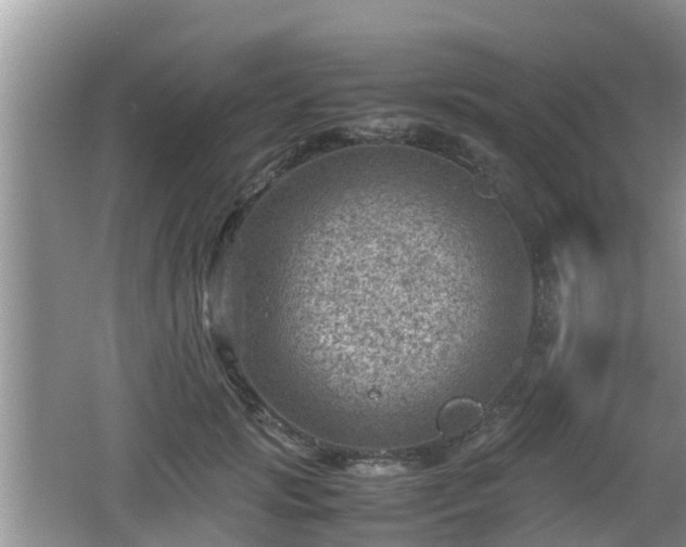 X0000062130749200512121215