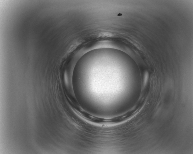 X0000062130750200512121215