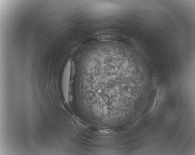 X0000062130753200512121215