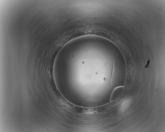 X0000062130754200512121215