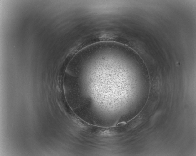 X0000062130755200512121215