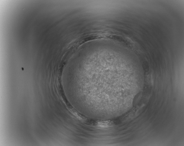 X0000062130757200512121215