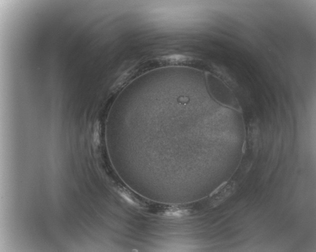 X0000062130760200512121215