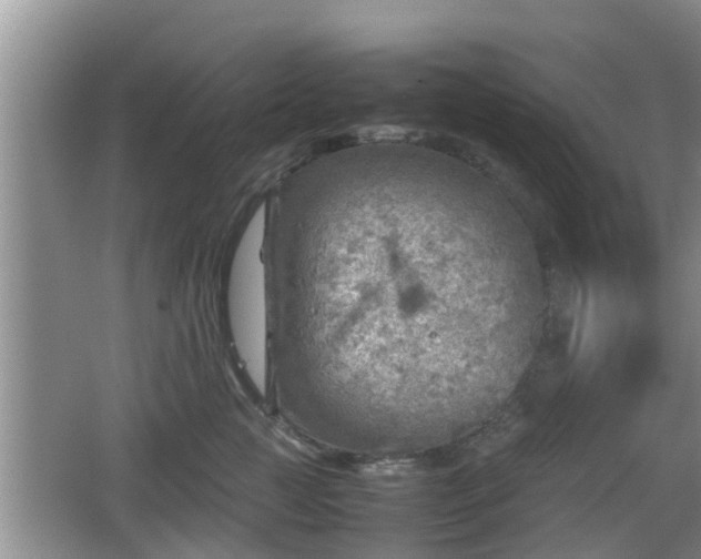 X0000062130761200512121215