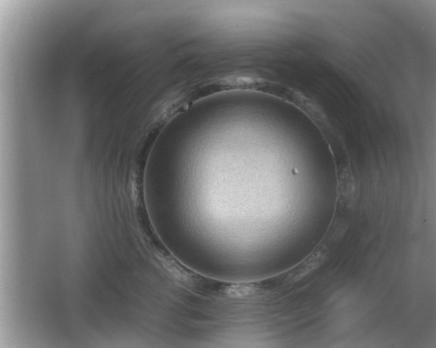 X0000062130762200512121215