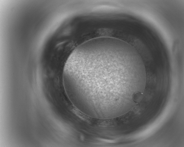 X0000062130765200512121215