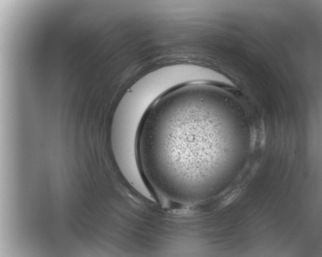 X0000062130766200512121215