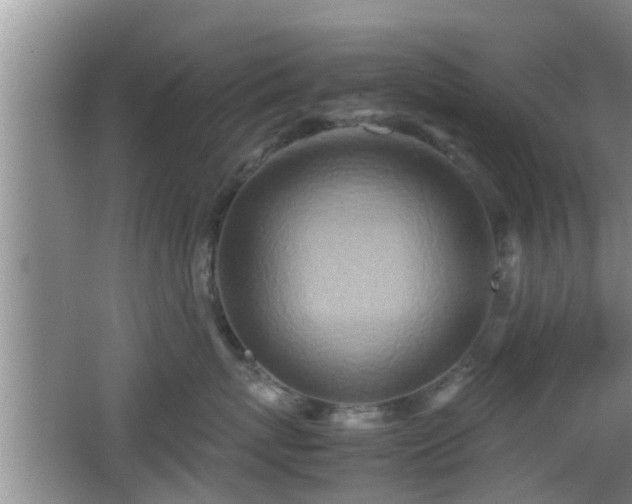 X0000062130767200512121215