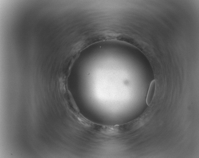 X0000062130768200512121215