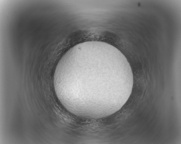 X0000062130769200512121214