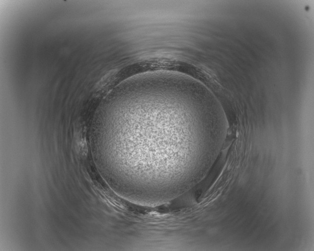 X0000062130771200512121214