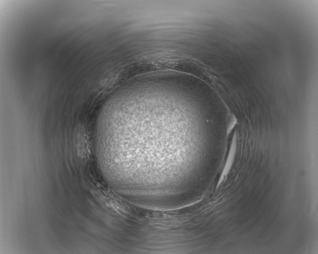 X0000062130772200512121214