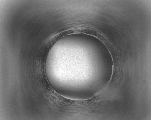 X0000062130773200512121214