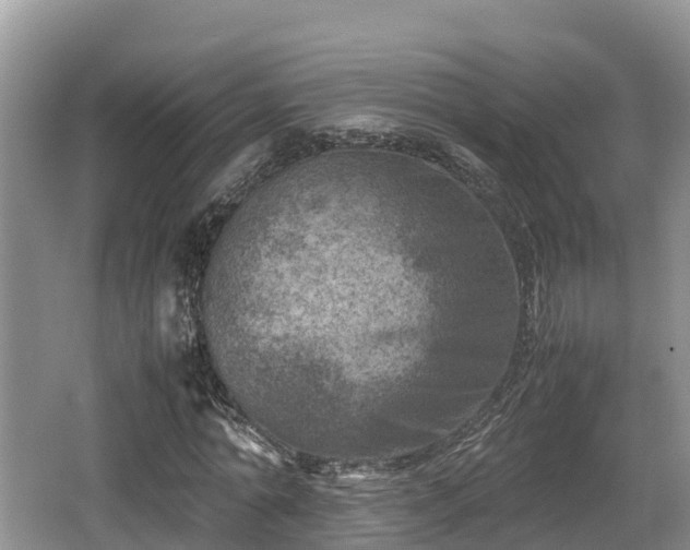 X0000062130774200512121214