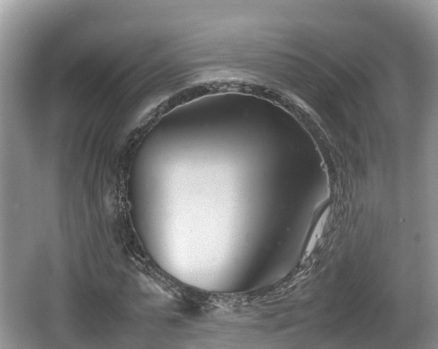 X0000062130775200512121214