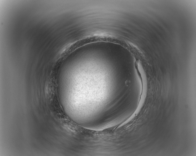 X0000062130776200512121214