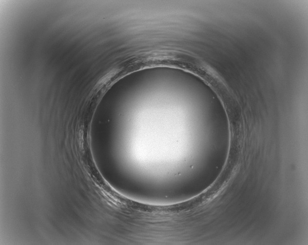 X0000062130777200512121214