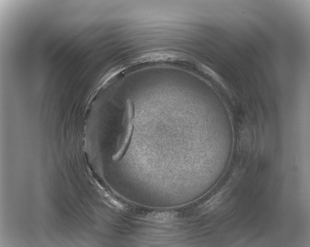 X0000062130778200512121214