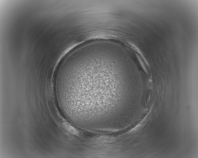 X0000062130779200512121214