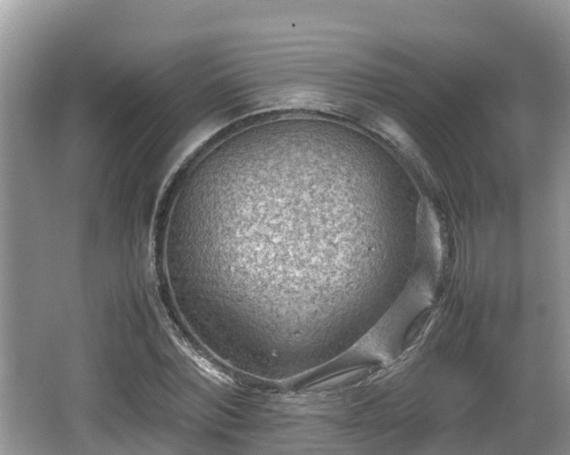 X0000062130780200512121214