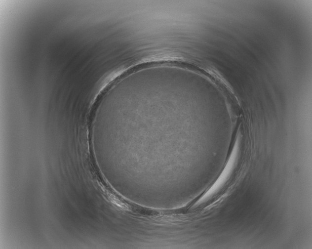 X0000062130781200512121214