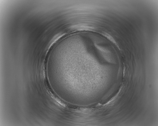 X0000062130782200512121214