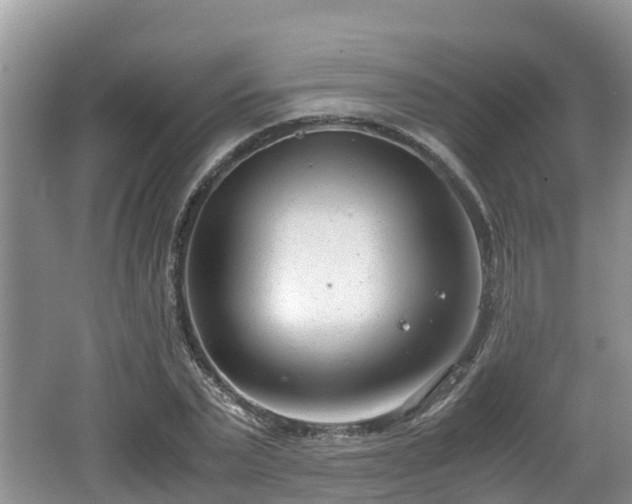 X0000062130783200512121214