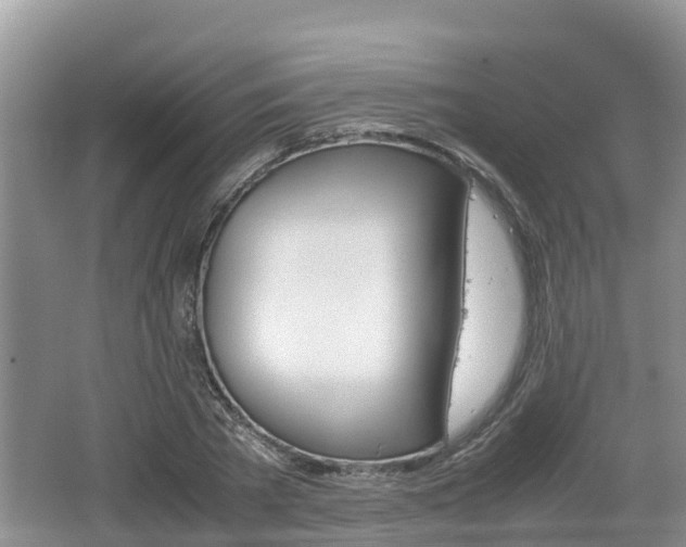 X0000062130785200512121214