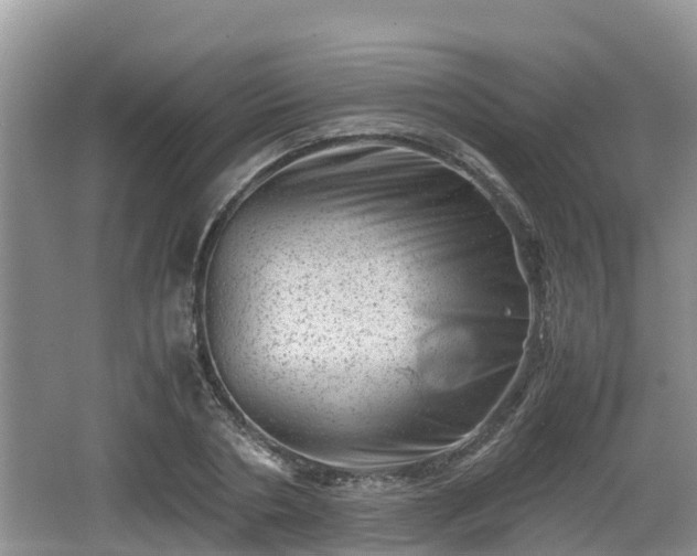 X0000062130786200512121214