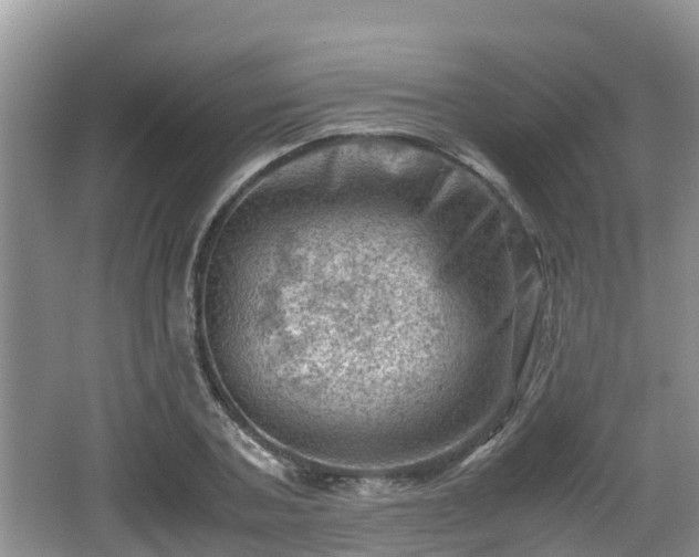 X0000062130787200512121214