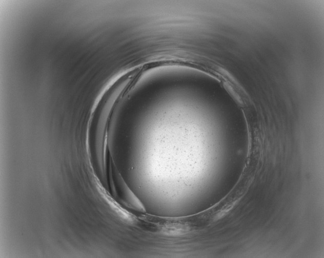 X0000062130788200512121214