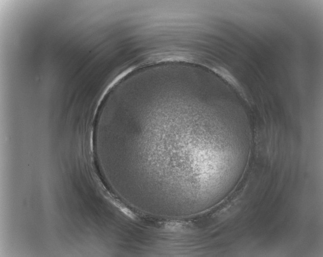 X0000062130790200512121214