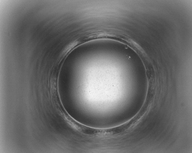 X0000062130793200512121214