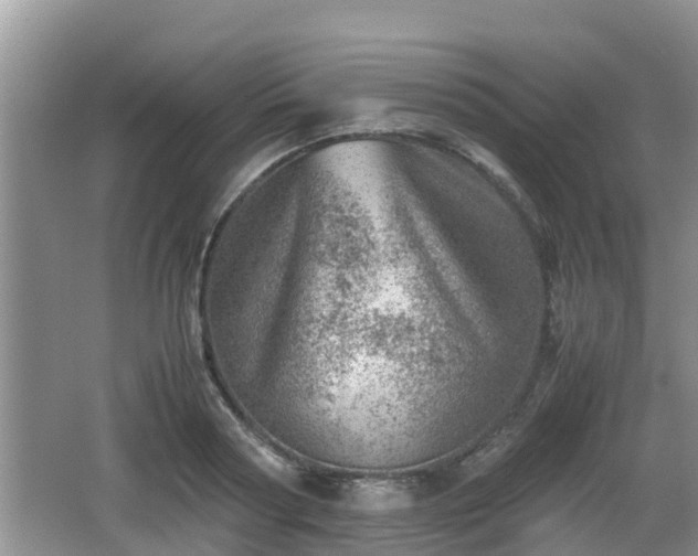 X0000062130794200512121214