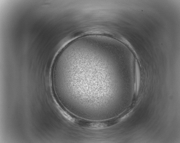 X0000062130795200512121214