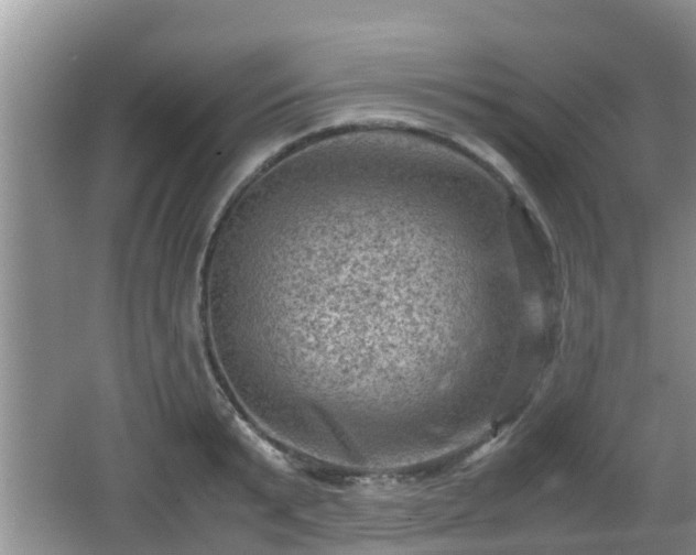 X0000062130799200512121214