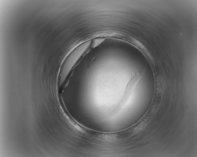 X0000062130802200512121214