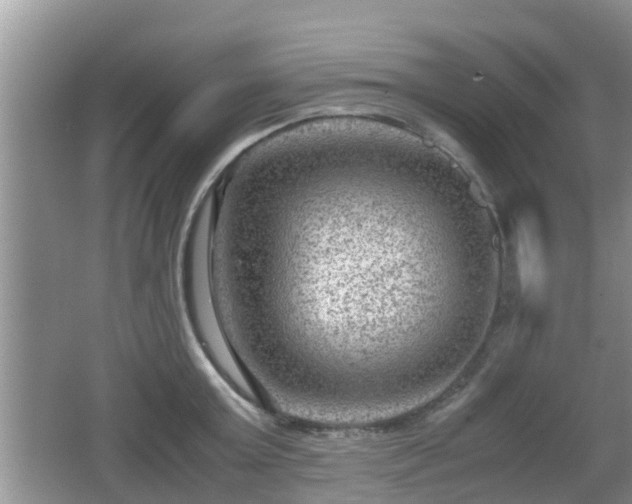 X0000062130803200512121214