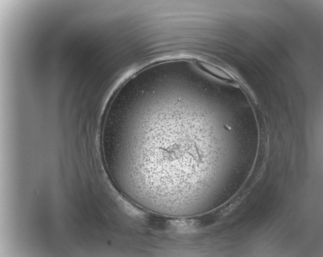 X0000062130805200512121214