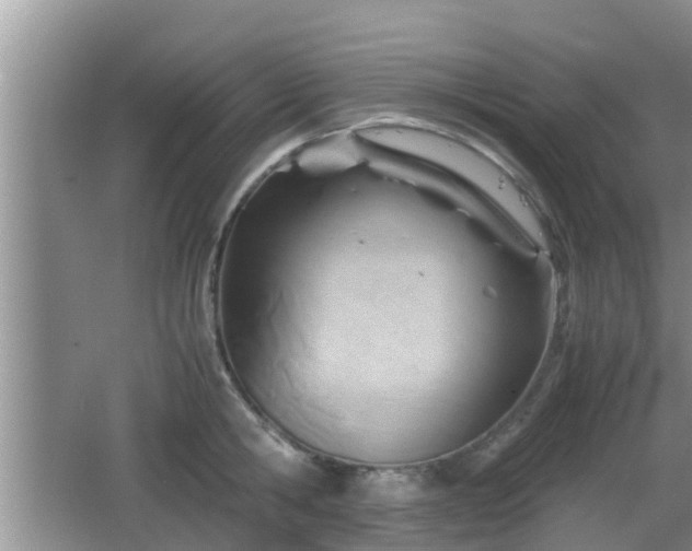 X0000062130806200512121214