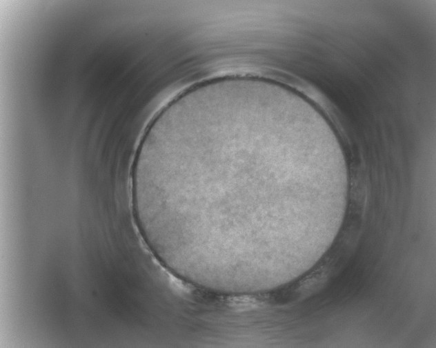 X0000062130807200512121214