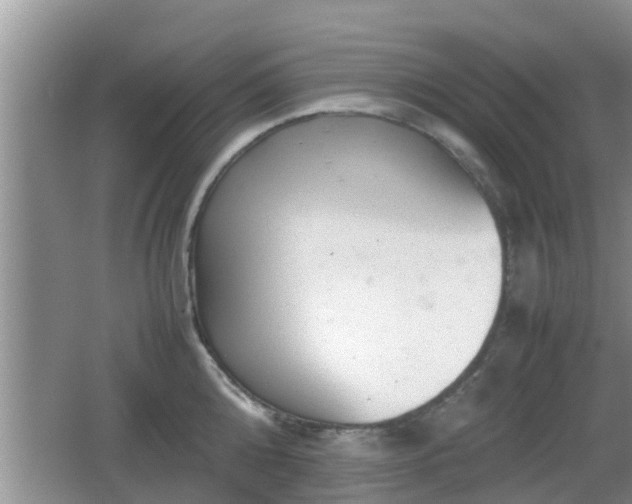 X0000062130808200512121214