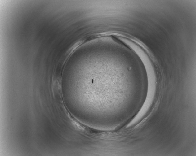 X0000062130809200512121214