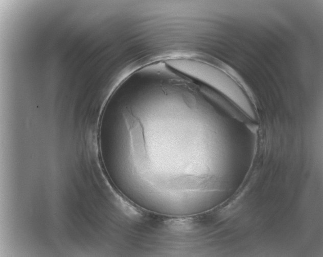 X0000062130810200512121214